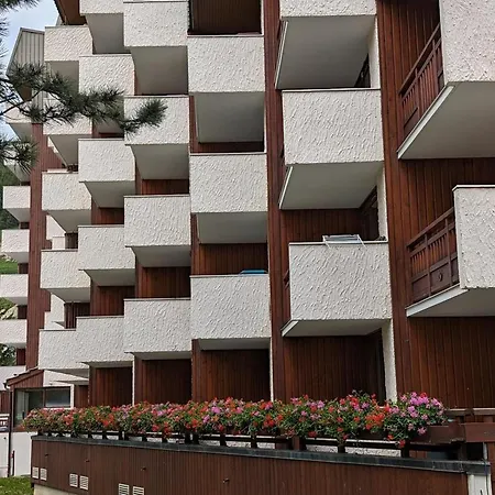 Apartment Pied De Piste Au Centre + Animaux Admis - Fr-1-811-12