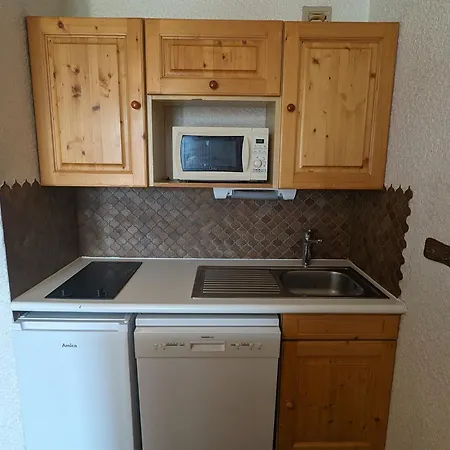 Pied De Piste Au Centre + Animaux Admis - Fr-1-811-12 Apartment *